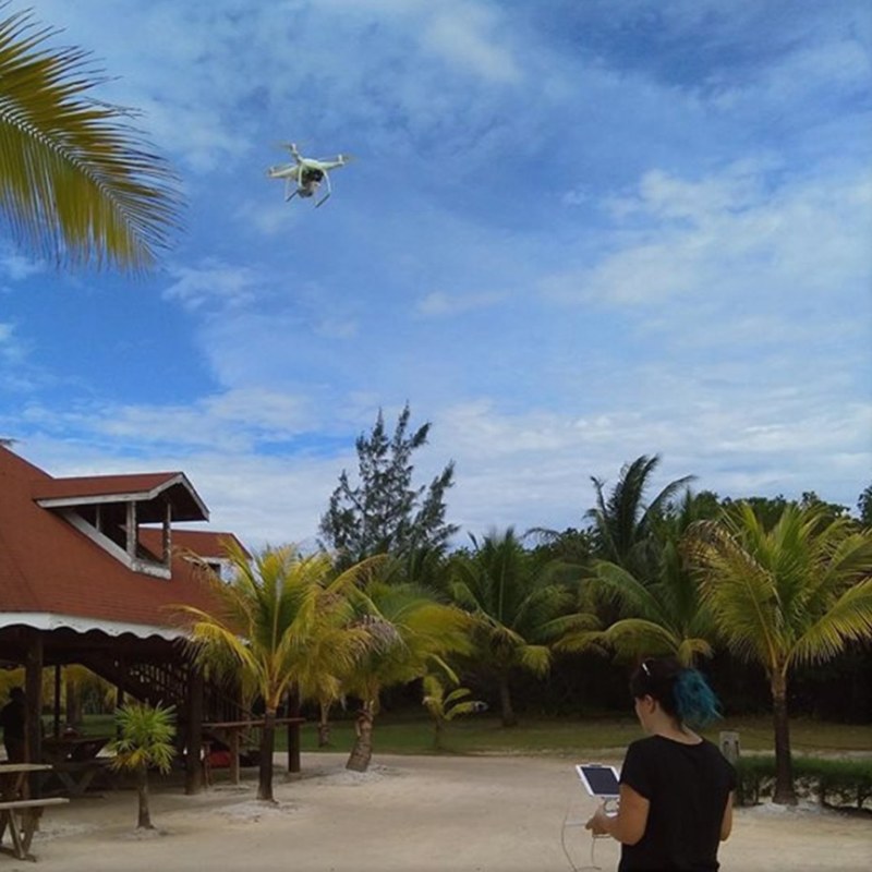 Flying a drone during a field survey